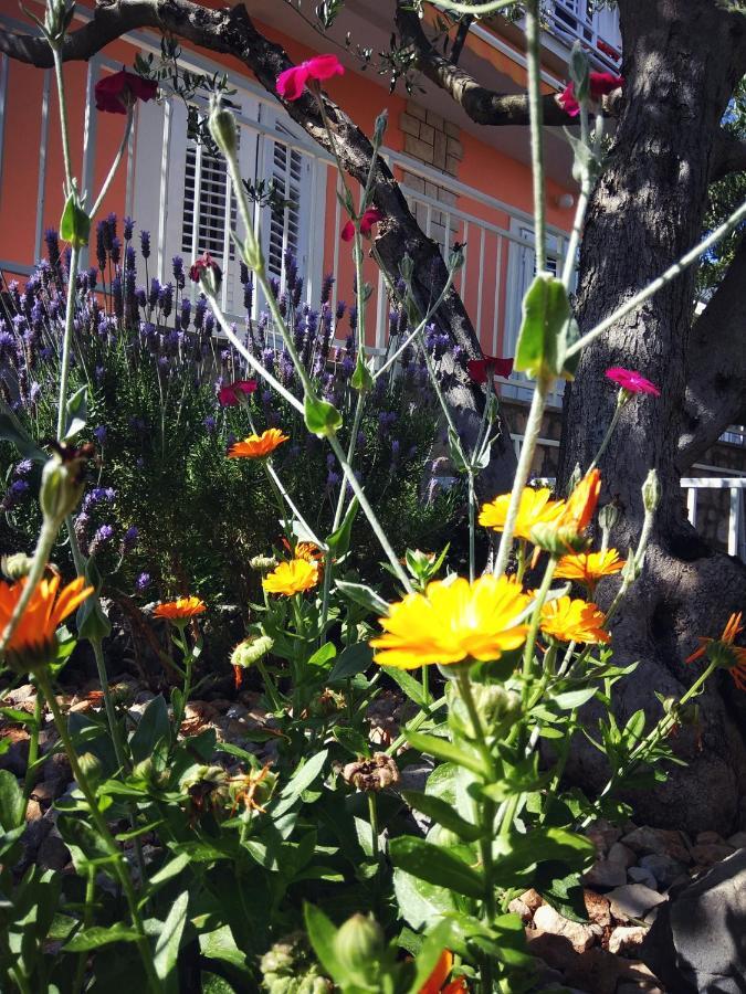 Apartman Antulov Srima Esterno foto